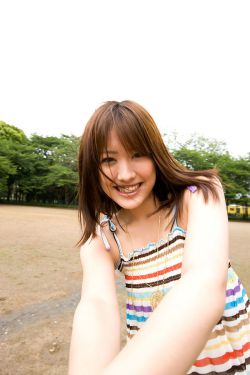 藏海花电视剧在线观看免费